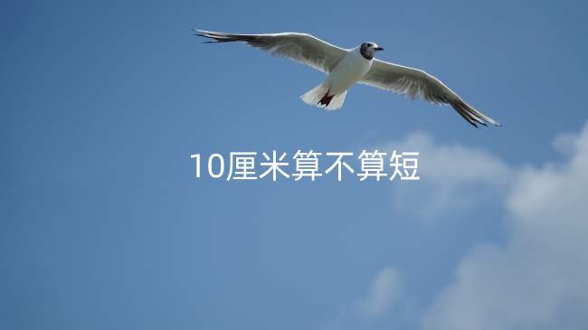 10厘米算不算短