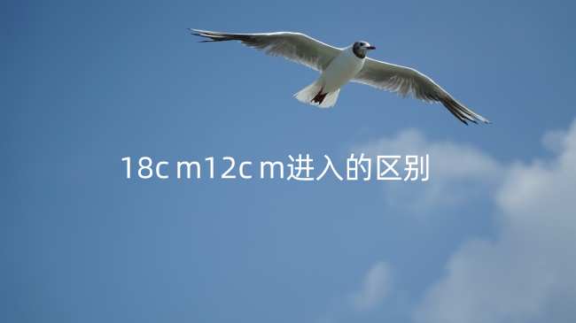 18c m12c m进入的区别？