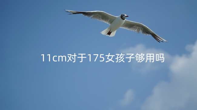 11cm对于175女孩子够用吗